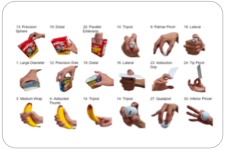 Dense Hand-Object(HO) GraspNet with Full Grasping Taxonomy and Dynamics